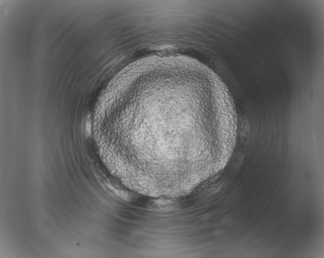 X0000076080095200610202051