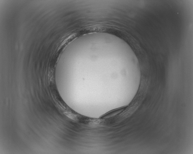 X0000076080096200610202051