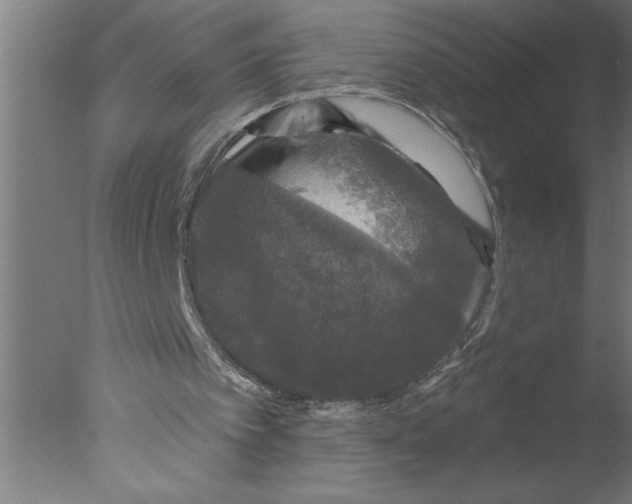 X0000076080097200610202051