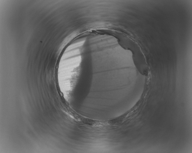 X0000076080099200610202050