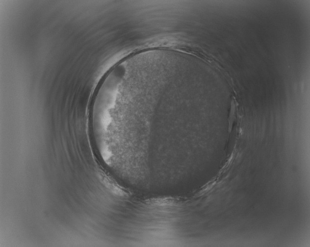 X0000076080100200610202050