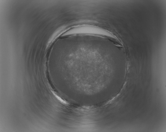 X0000076080101200610202050