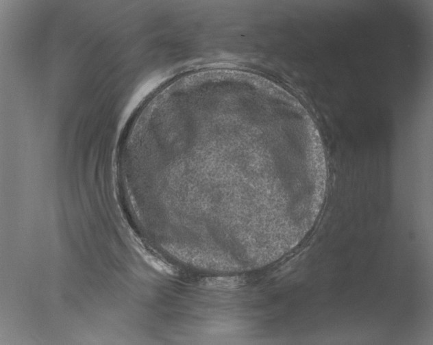 X0000076080102200610202050