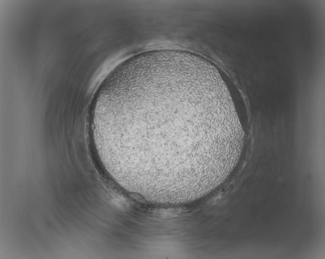 X0000076080103200610202050