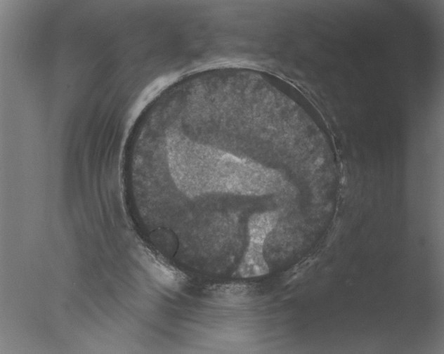 X0000076080104200610202050