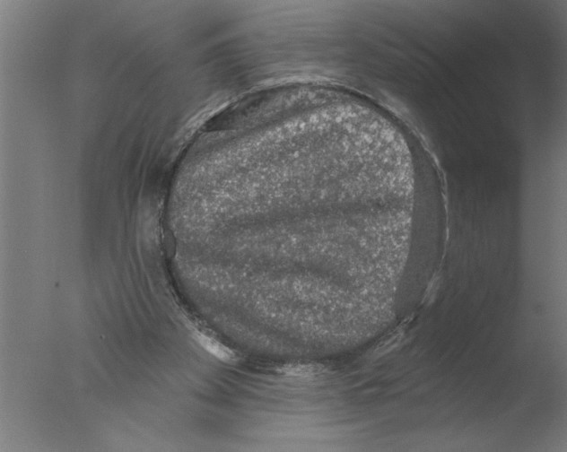 X0000076080105200610202050