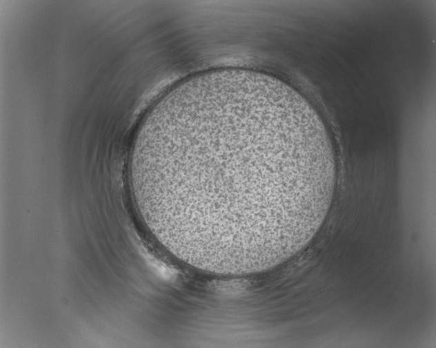 X0000076080106200610202050