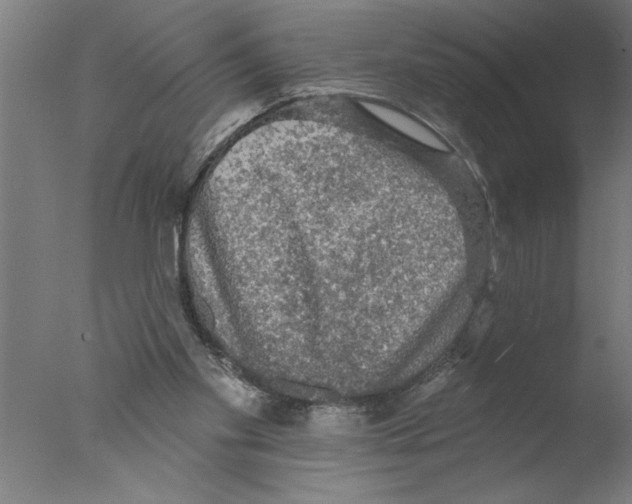 X0000076080109200610202050