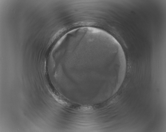 X0000076080110200610202050