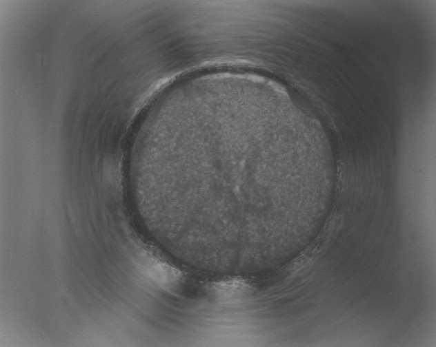 X0000076080112200610202050