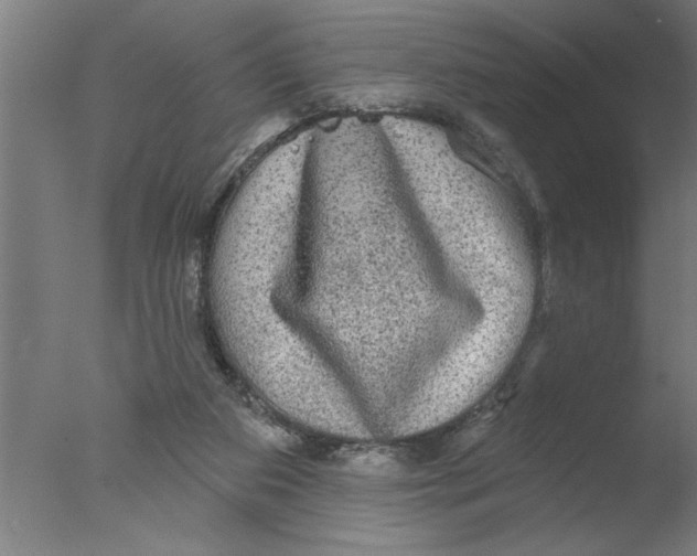 X0000076080113200610202050