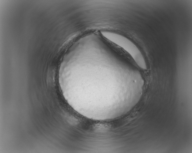 X0000076080115200610202050