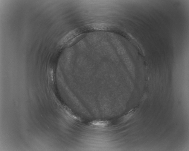 X0000076080117200610202050