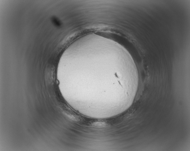 X0000076080119200610202050