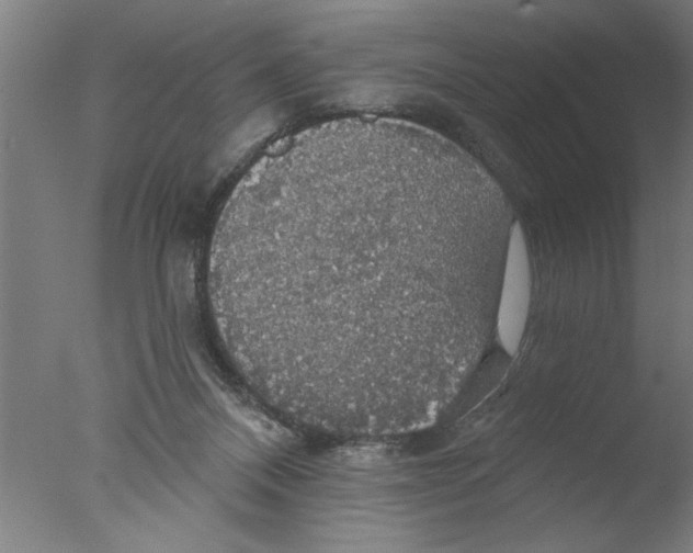 X0000076080120200610202050