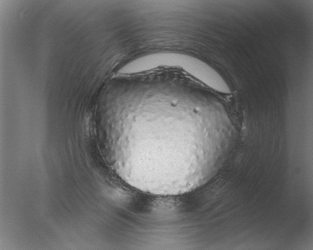 X0000076080123200610202050