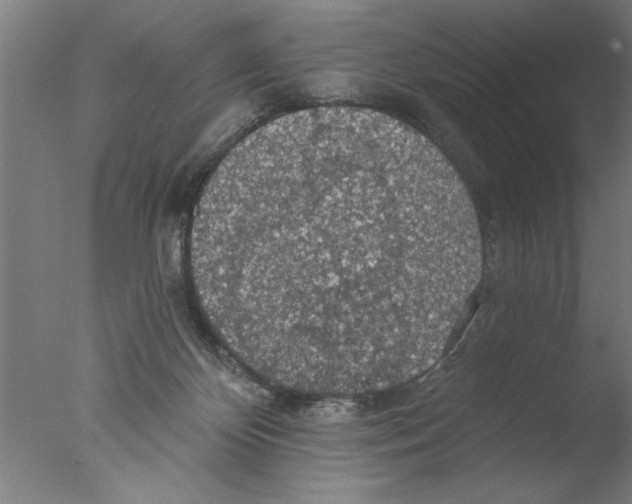 X0000076080124200610202050