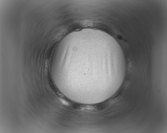 X0000076080125200610202050