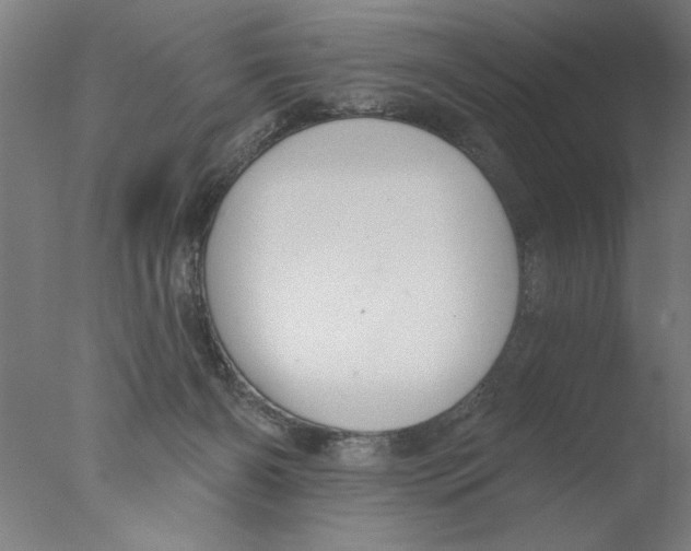 X0000076080126200610202050