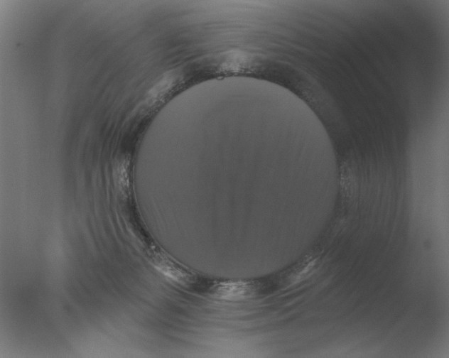 X0000076080127200610202050