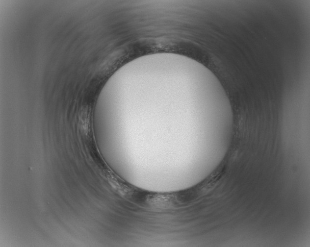 X0000076080129200610202050