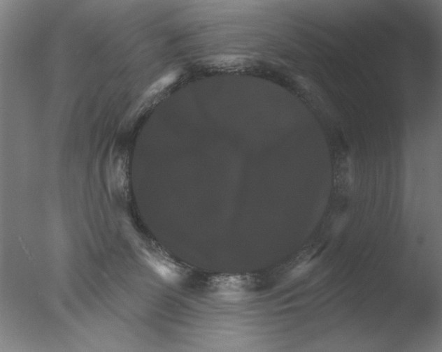 X0000076080131200610202050