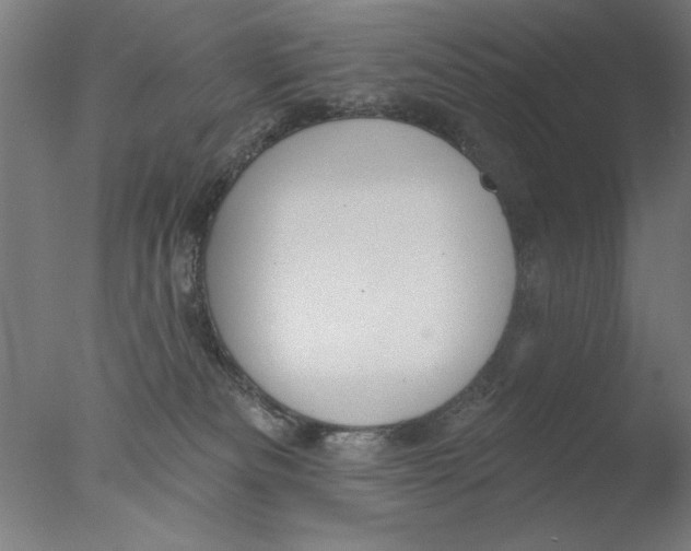 X0000076080133200610202050