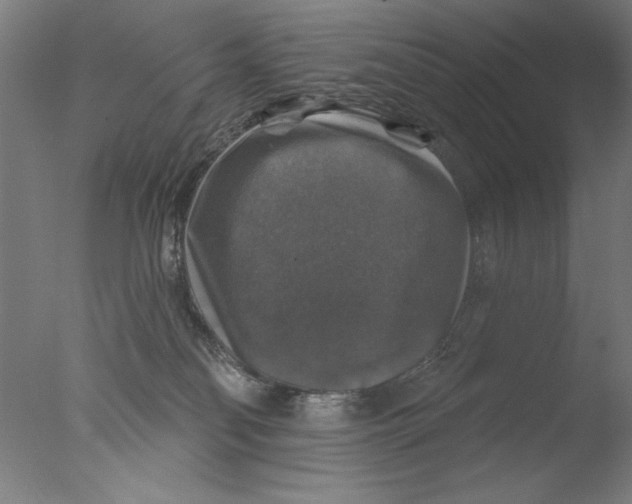 X0000076080134200610202050