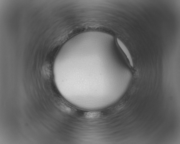 X0000076080135200610202050