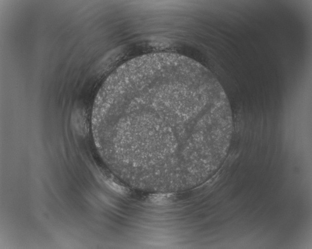 X0000076080136200610202050