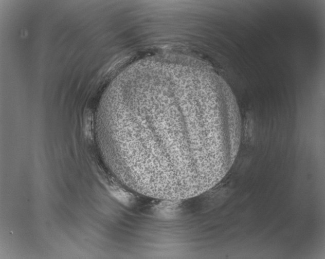 X0000076080138200610202050