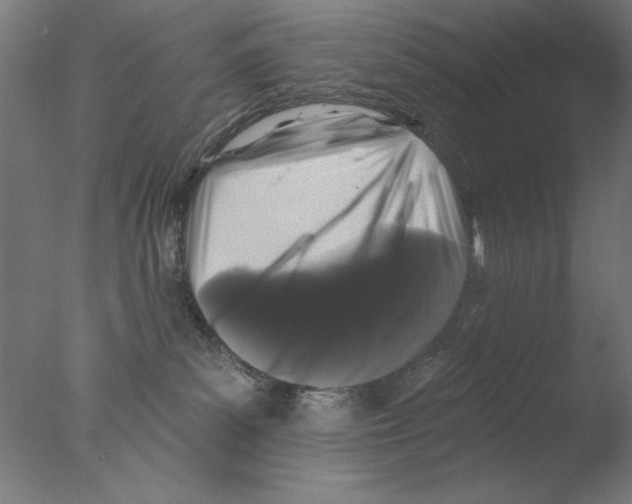 X0000076080139200610202050