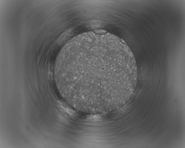 X0000076080140200610202050