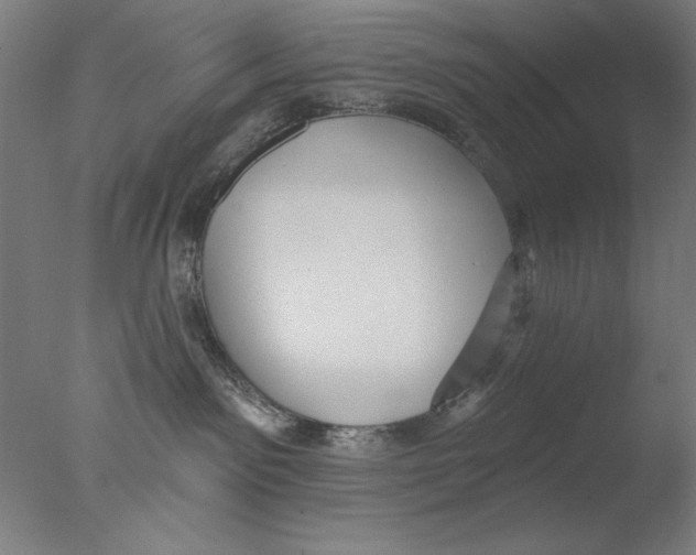 X0000076080141200610202050