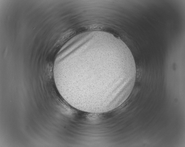 X0000076080142200610202050