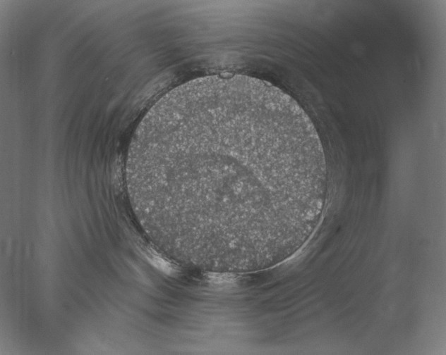 X0000076080144200610202050