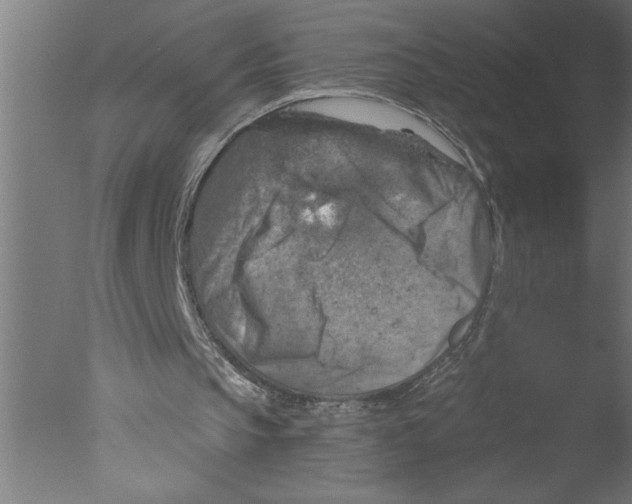 X0000076080145200610202049