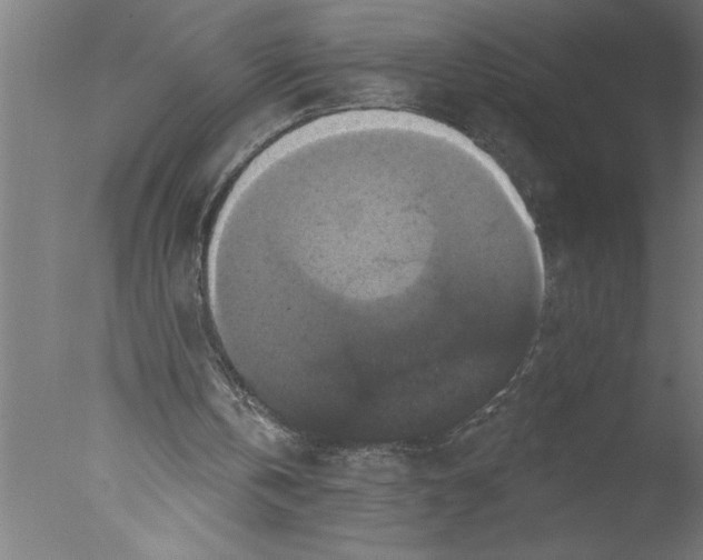 X0000076080146200610202049