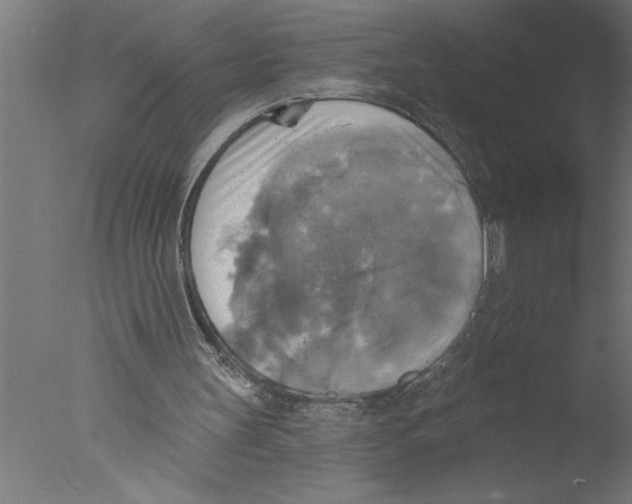 X0000076080147200610202049