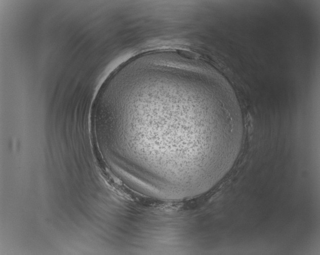 X0000076080148200610202049