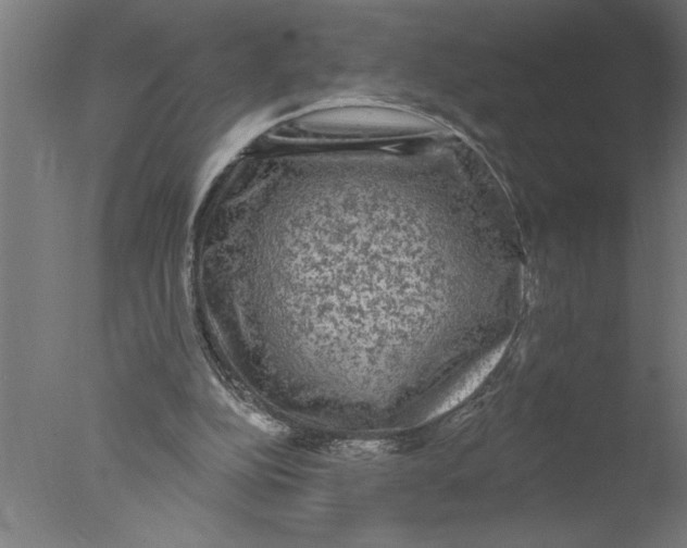 X0000076080152200610202049