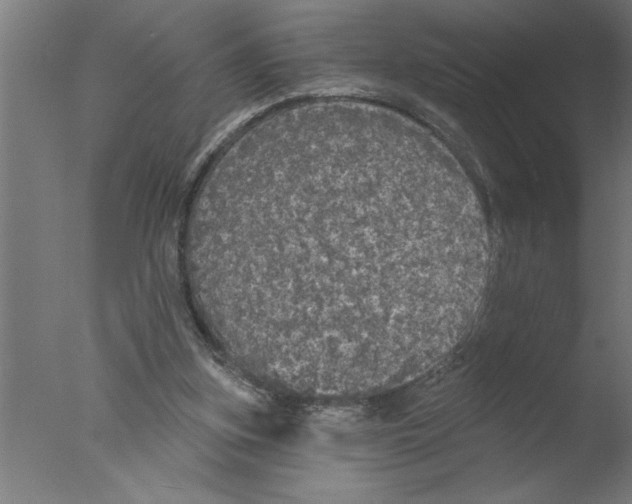 X0000076080155200610202049