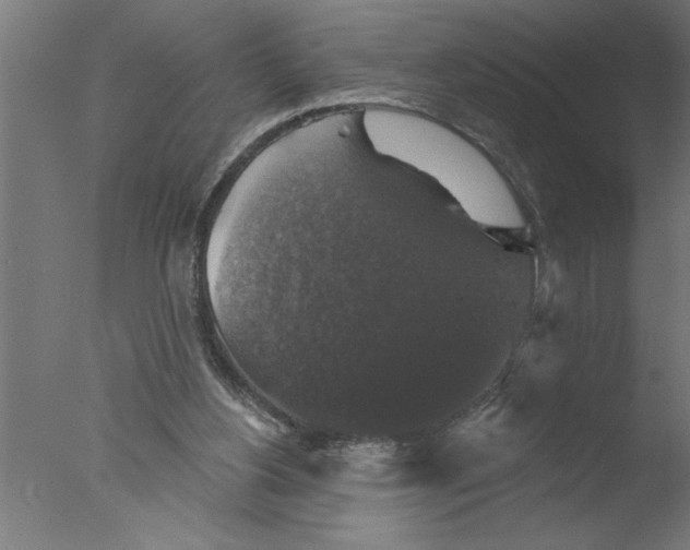 X0000076080156200610202049