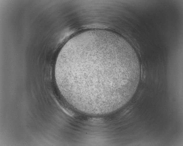 X0000076080157200610202049