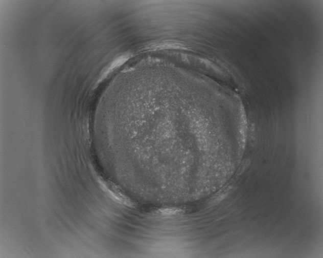 X0000076080158200610202049