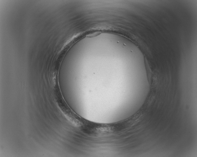 X0000076080160200610202049