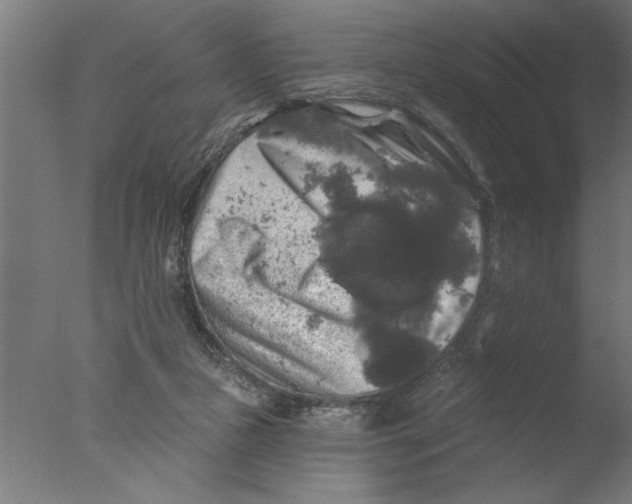 X0000076080161200610202049