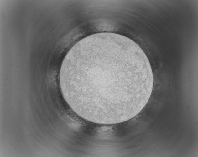 X0000076080162200610202049