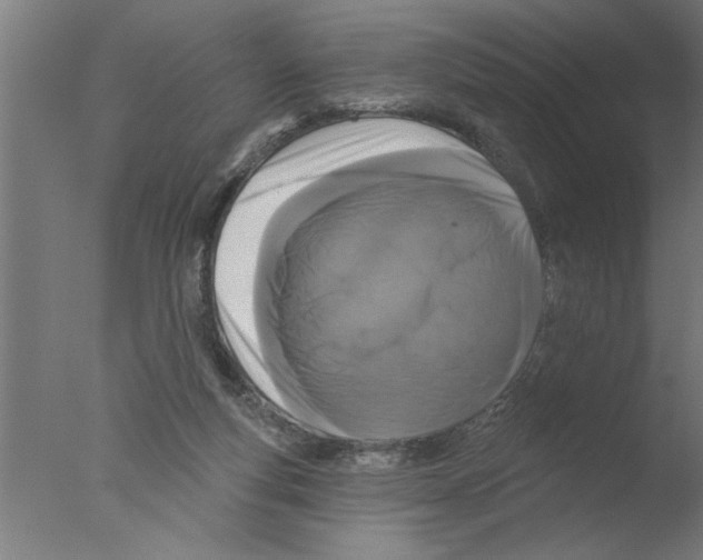 X0000076080163200610202049