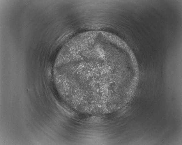 X0000076080166200610202049